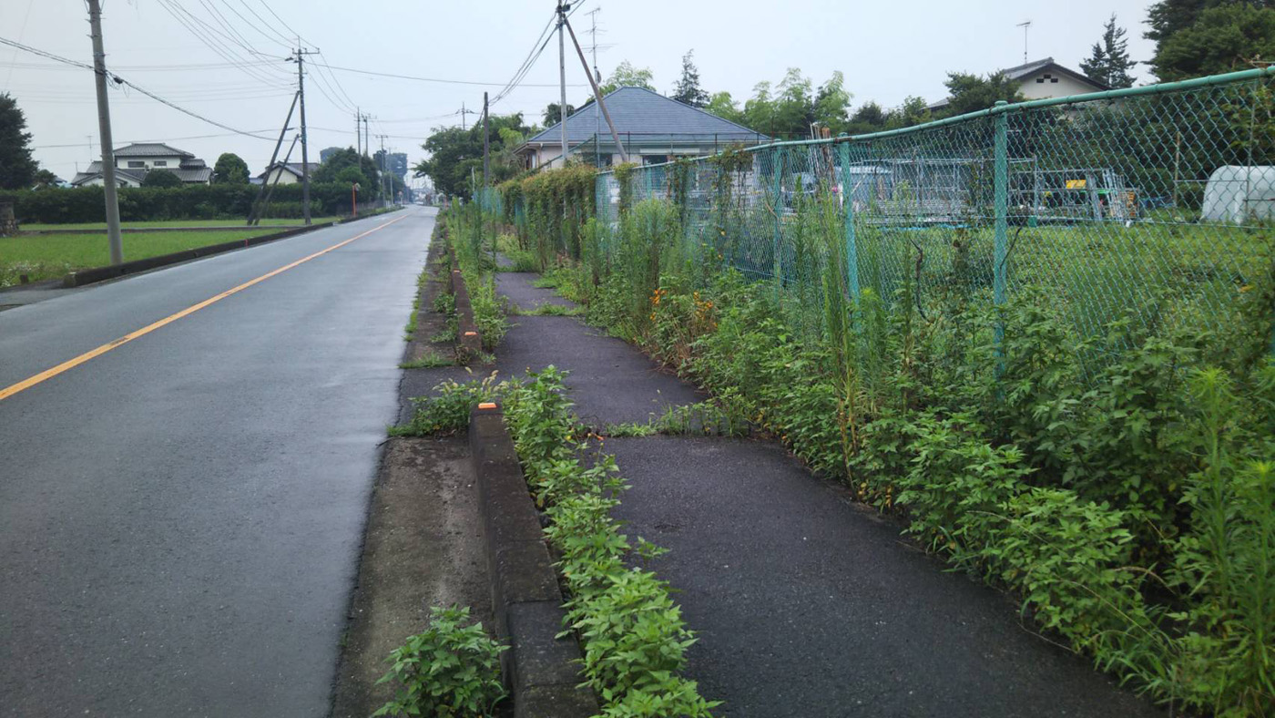 埼玉県比企郡吉見町 伐採工事 作業前