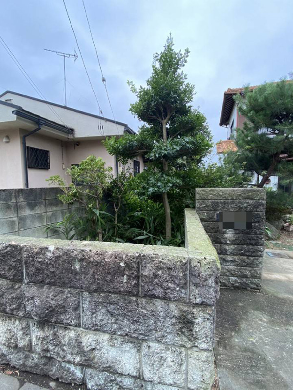 埼玉県東松山市 樹木伐採工事 完了