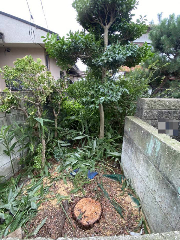 埼玉県東松山市 樹木伐採工事 完了