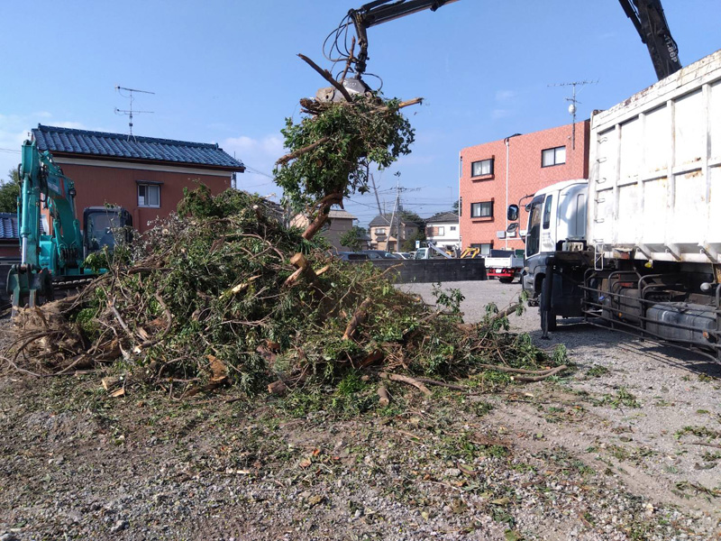 埼玉県熊谷市 伐採樹木搬出工事
