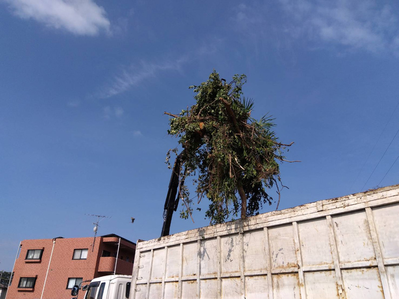 埼玉県熊谷市 伐採樹木搬出工事