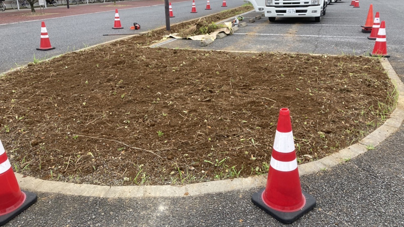 さいたま市食品製造工場伐採工事完了