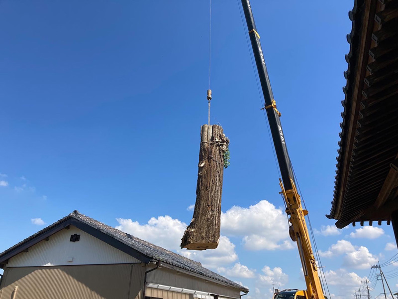 加須市 特殊伐採工事 作業中