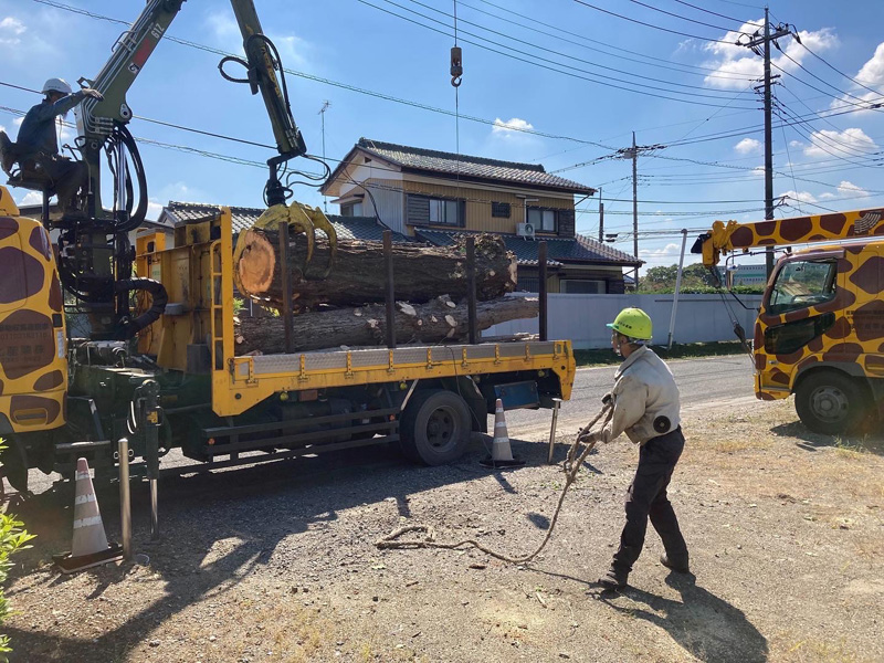 加須市 特殊伐採工事 作業中
