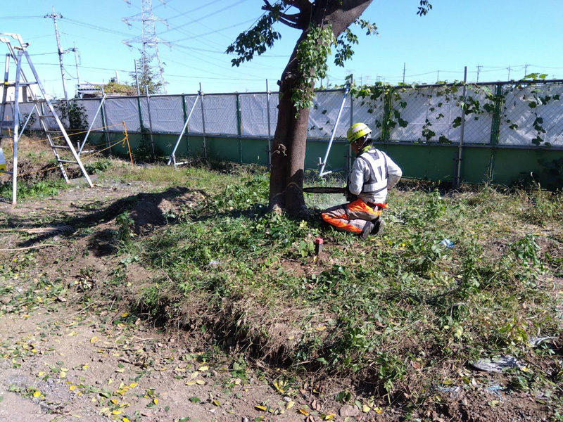 埼玉県坂戸市 伐採工事 作業中