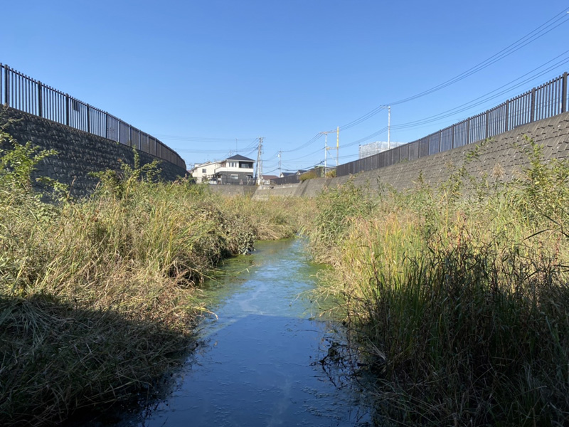 埼玉県鴻巣市 調整池草刈り工事 着工前