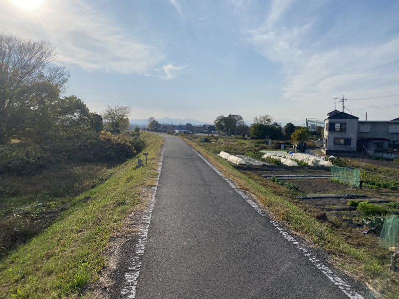 埼玉県内河川敷 伐採工事 完了