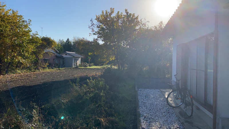 埼玉県寄居町 伐採抜根工事 作業前