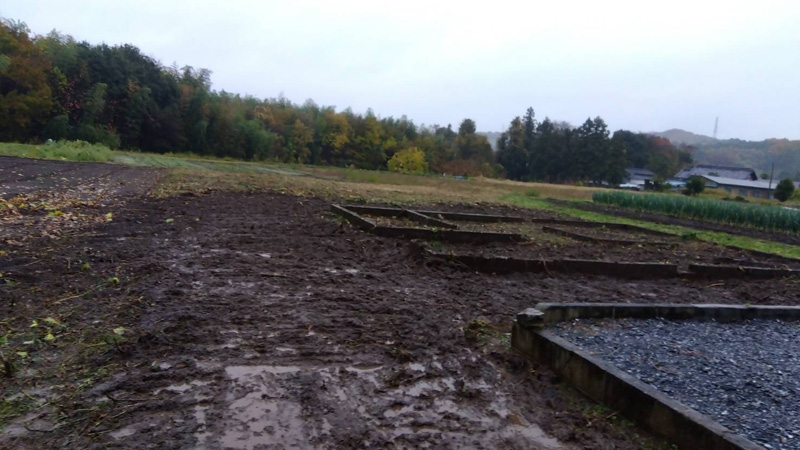 埼玉県寄居町 伐採抜根工事 完了