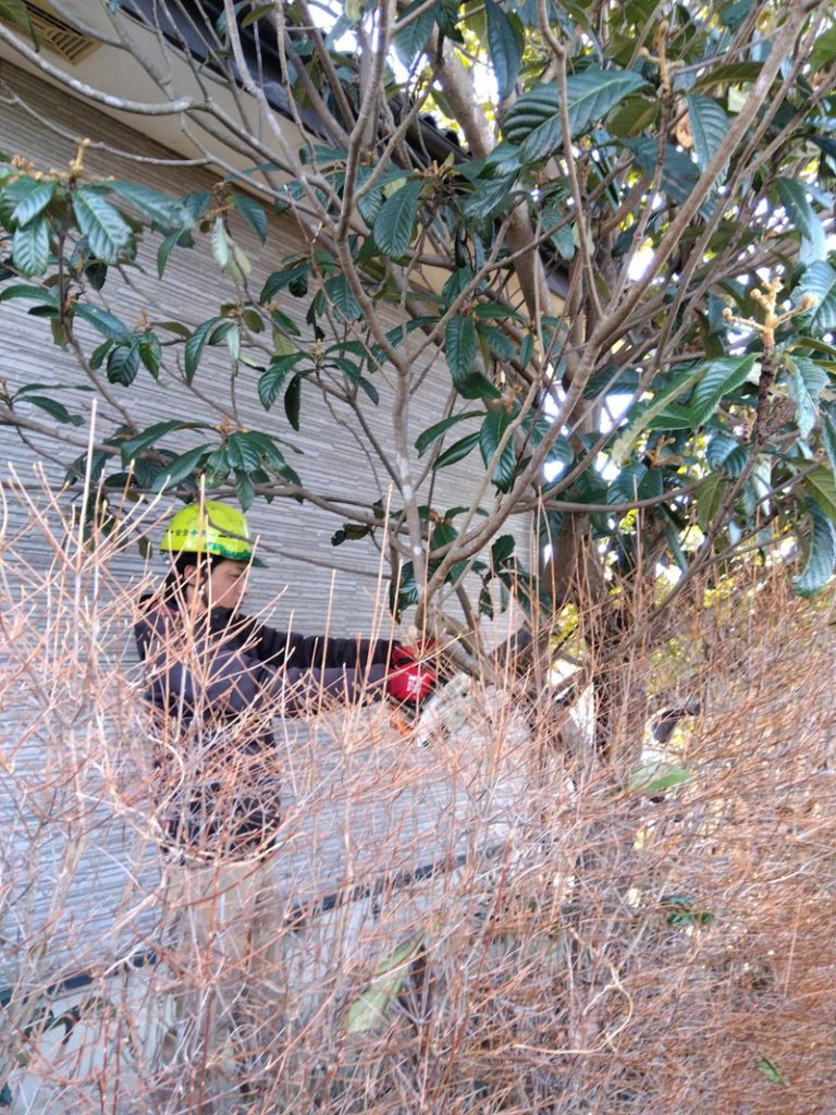 埼玉県比企郡吉見町 伐採工事 作業途中