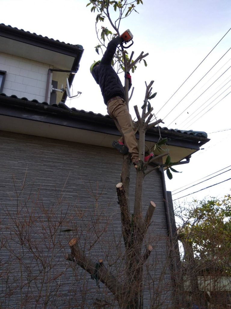 埼玉県比企郡吉見町 伐採工事 作業途中