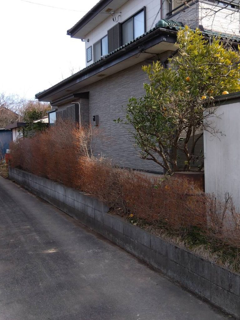 埼玉県比企郡吉見町 伐採工事 完了