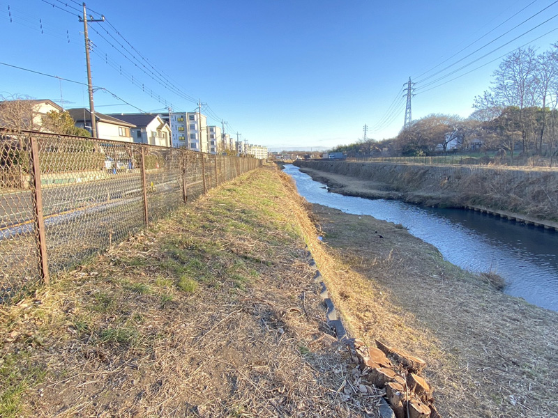 埼玉県上尾市河川脇 伐採工事 完了