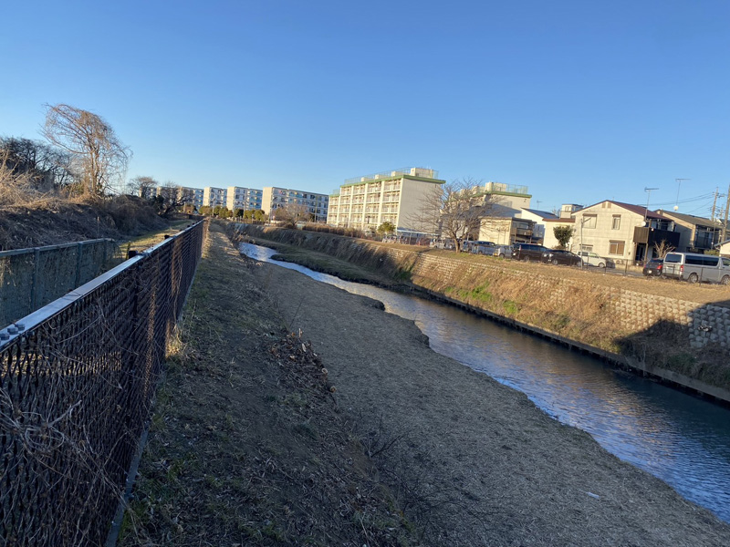 埼玉県上尾市河川脇 伐採工事 完了