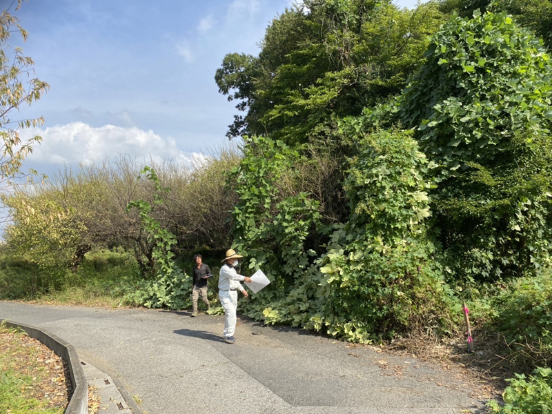 伊奈町工場用地 大規模伐採工事 着工前