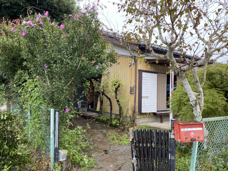 伊奈町工場用地 大規模伐採工事 着工前