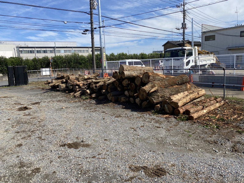 伊奈町工場用地 大規模伐採工事 施工中