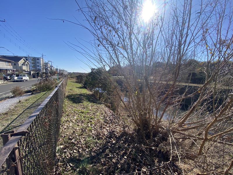 埼玉県上尾市河川脇 伐採工事 着工前