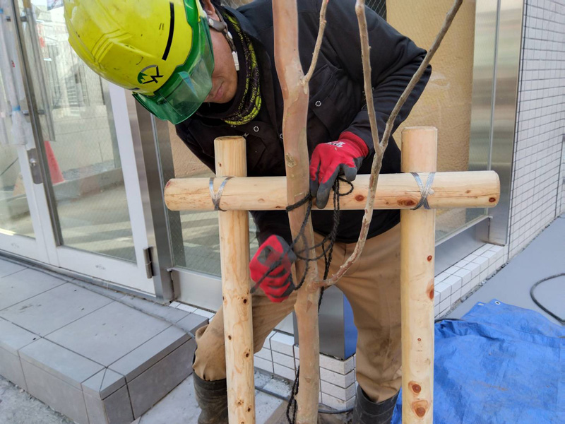 東京都新宿区 植栽工事 作業中