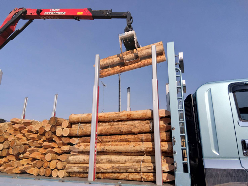 埼玉県富士見市 松杭
