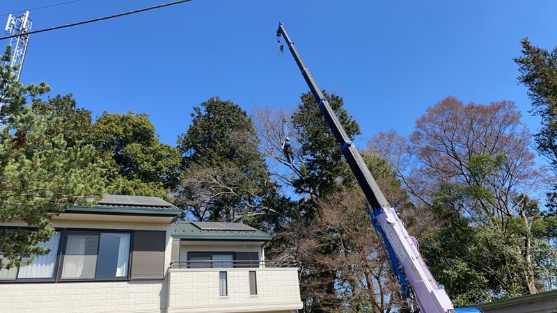 埼玉県北足立郡伊奈町 個人様宅 危険木 伐採工事 作業中