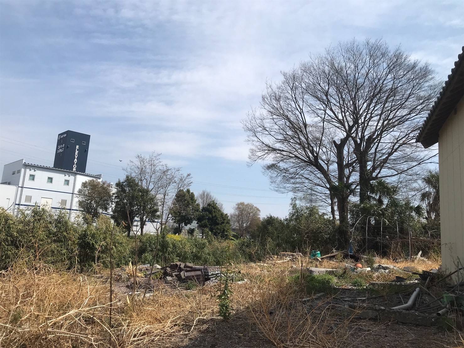 埼玉県鴻巣市危険木伐採工事作業完了