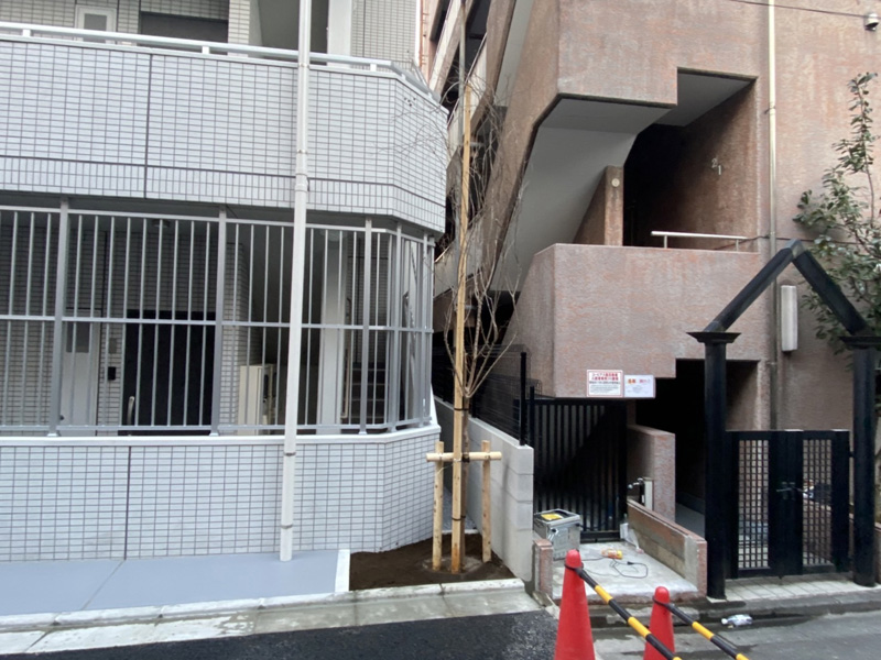東京都新宿区 植栽工事 完了