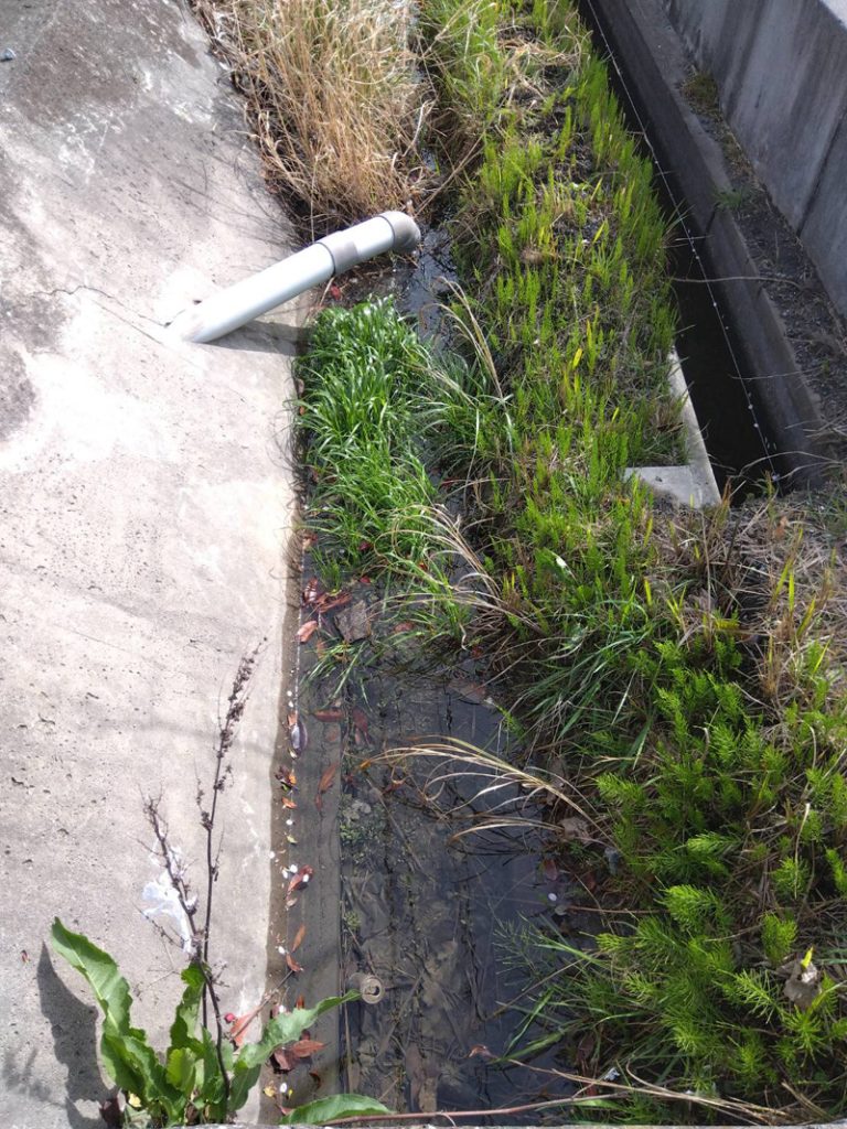 埼玉県羽生市 側溝汚泥除去工事 着工前