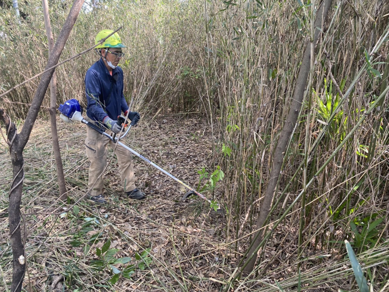 埼玉県東松山市伐採工事 作業中