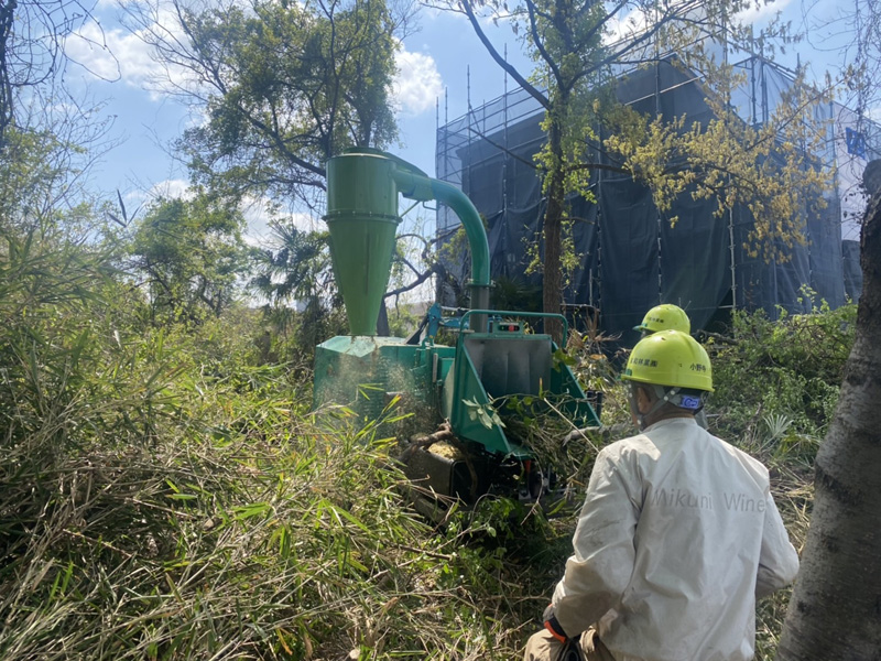 埼玉県東松山市伐採工事 作業中
