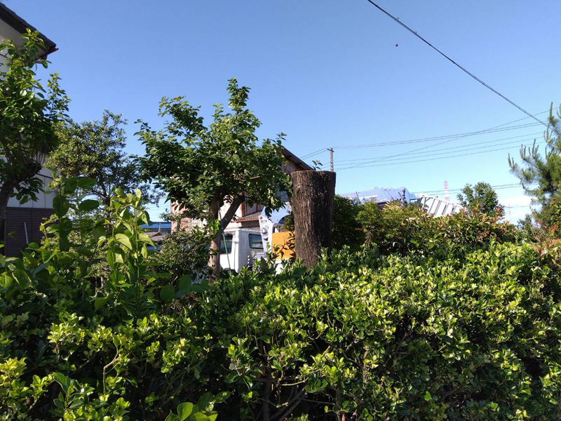 埼玉県比企郡吉見町 個人様宅 伐採工事 完了