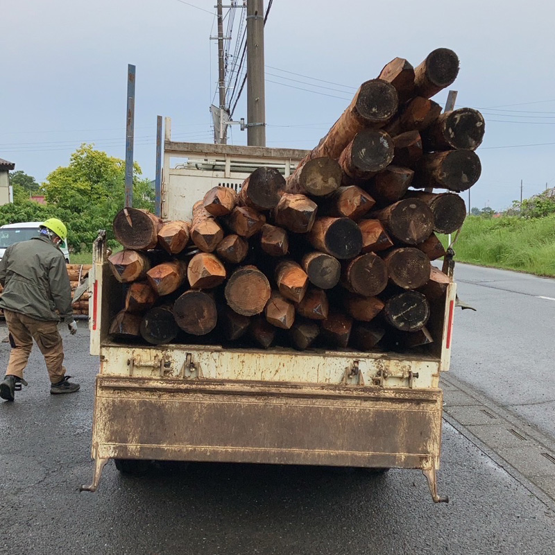 当社引き取り 松杭皮むき