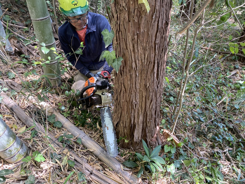 埼玉県東松山市内ゴルフ場 枯損木伐採工事 作業中