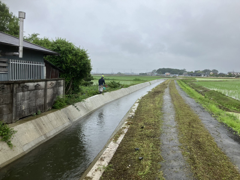 埼玉県羽生市 水路 草刈り工事 作業前