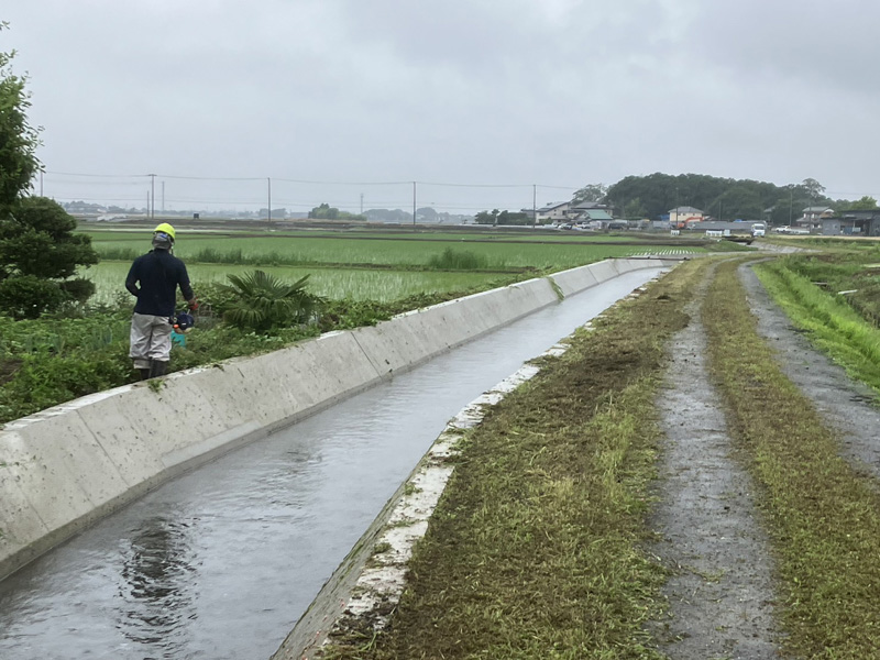 埼玉県羽生市 水路 草刈り工事 作業前