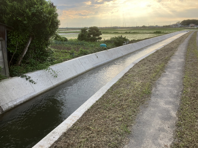 埼玉県羽生市 水路 草刈り工事 完了