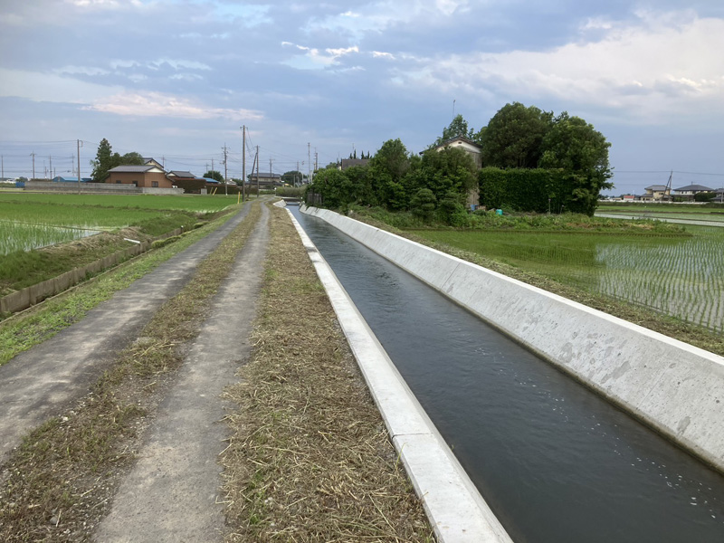 埼玉県羽生市 水路 草刈り工事 完了