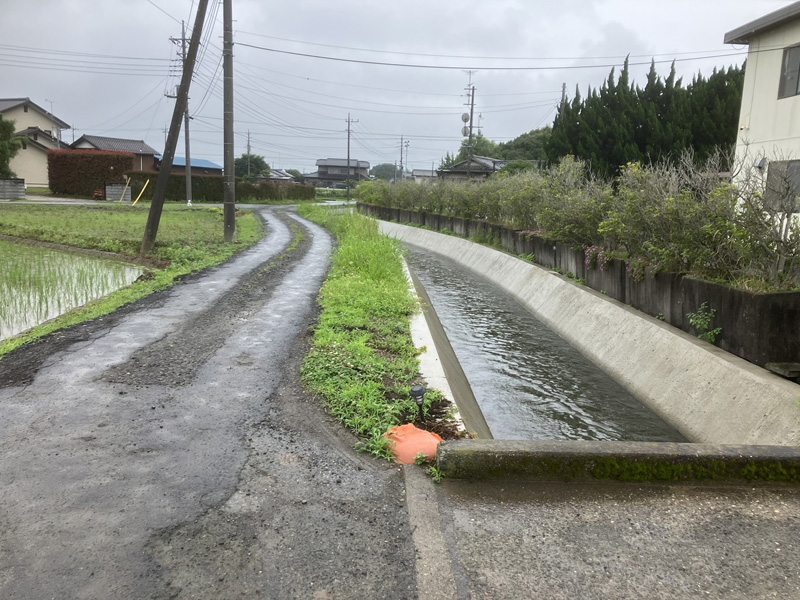 埼玉県羽生市 水路 草刈り工事 作業前