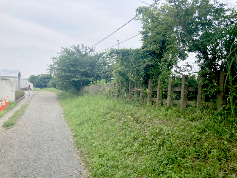 埼玉県さいたま市大宮区 線路沿い 伐採工事 着工前