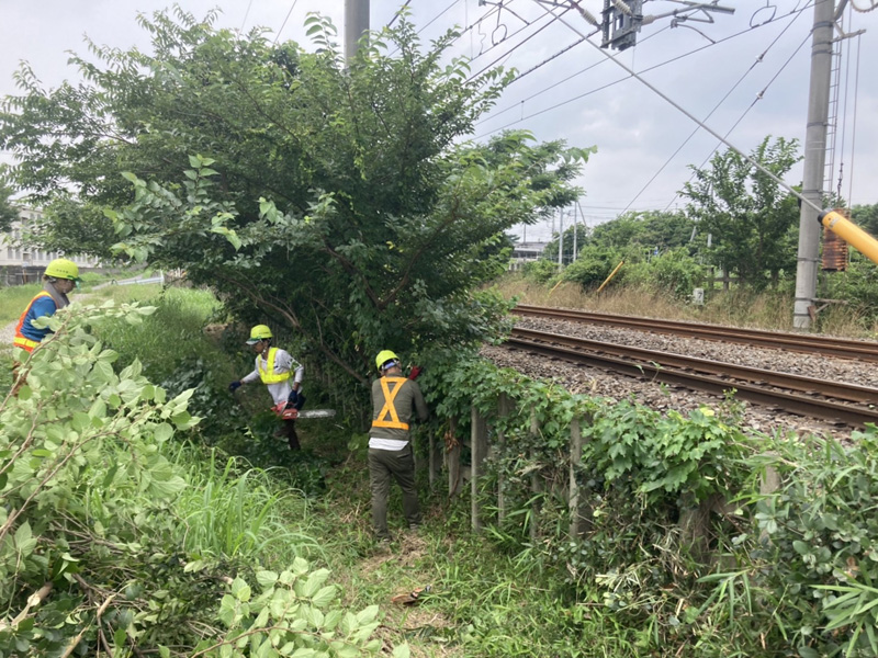 埼玉県さいたま市大宮区 線路沿い 伐採工事 作業中