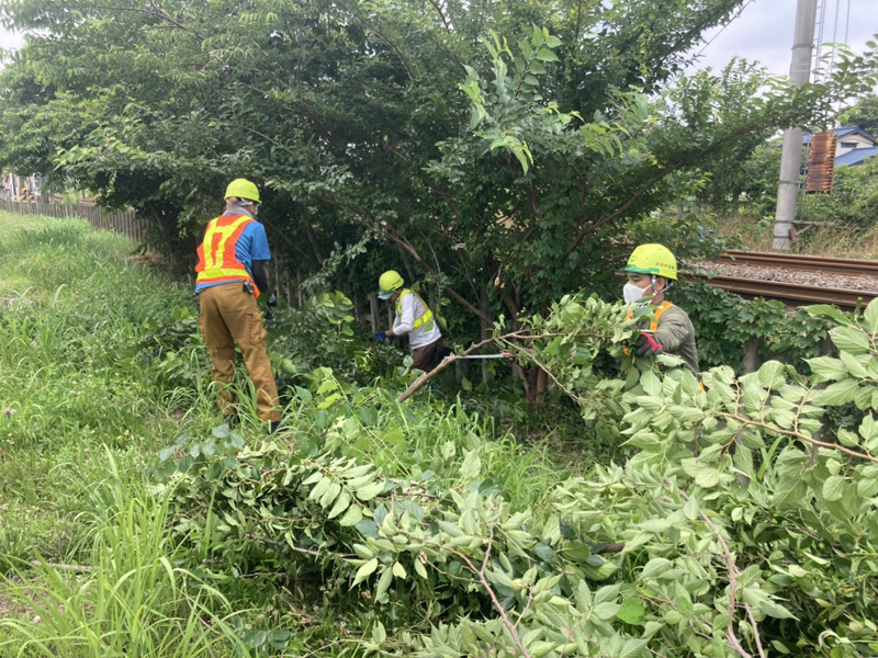 埼玉県さいたま市大宮区 線路沿い 伐採工事 作業中