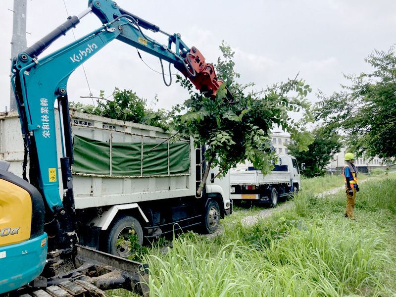 埼玉県さいたま市大宮区 線路沿い 伐採工事 作業中