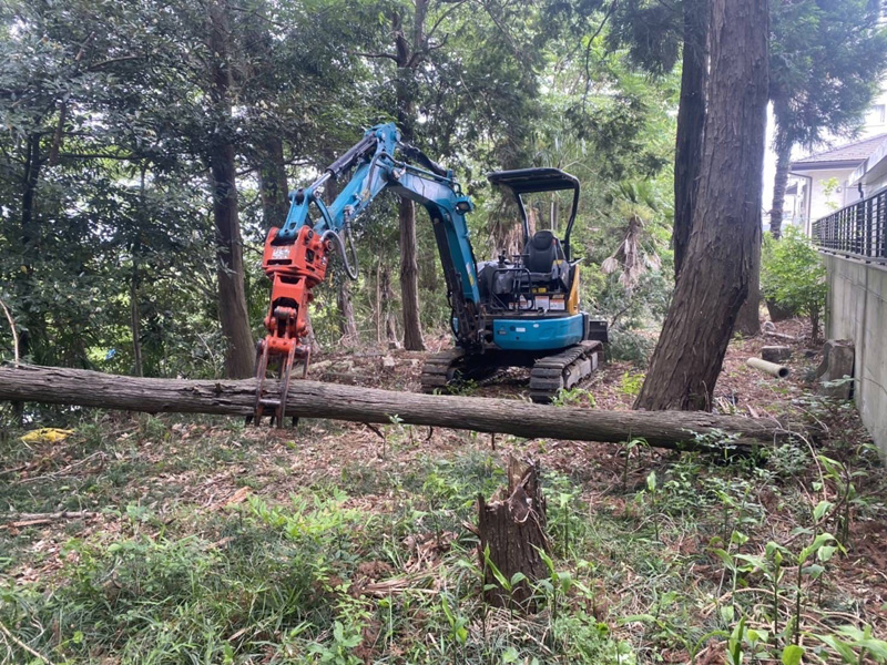 埼玉県東松山市個人様宅 枯木倒木伐採工事 作業中