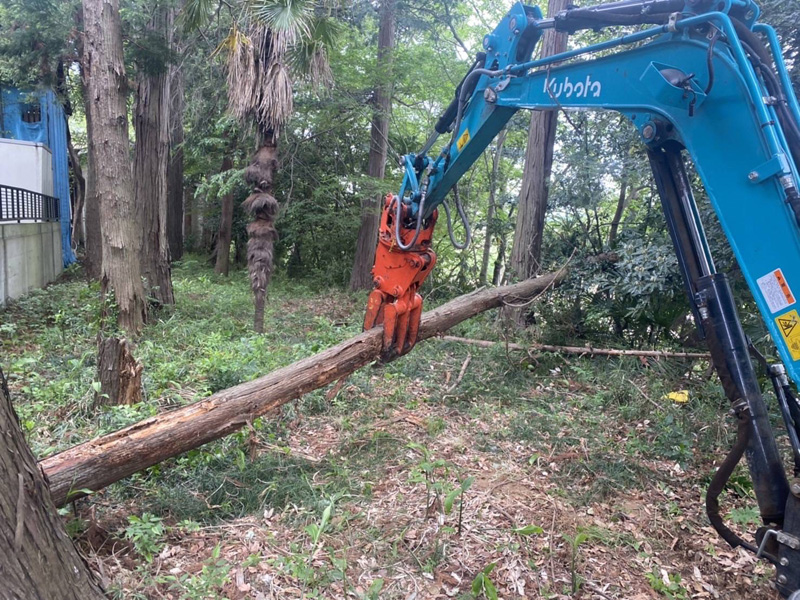 埼玉県東松山市個人様宅 枯木倒木伐採工事 作業中