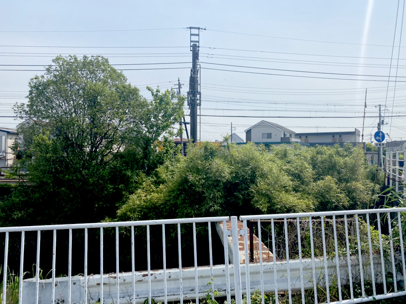 久喜市 鉄道沿い伐採工事 着工前