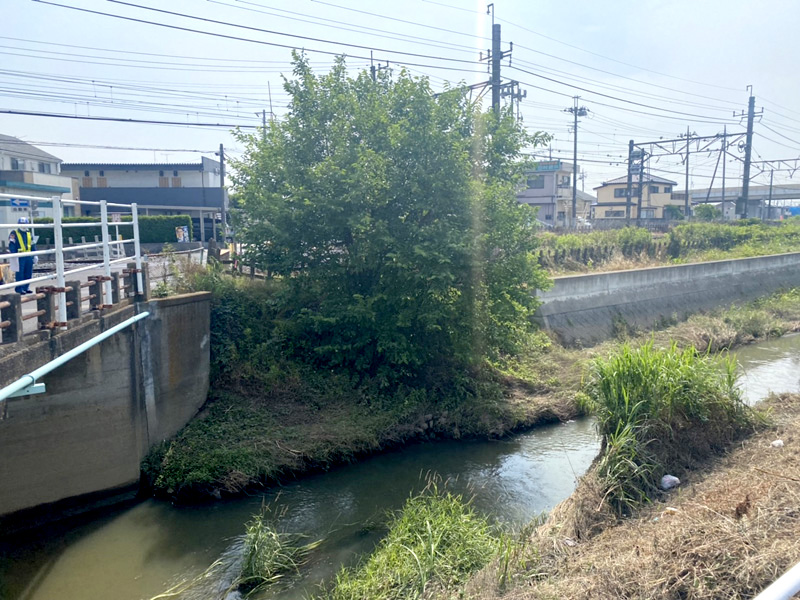 久喜市 鉄道沿い伐採工事 着工前