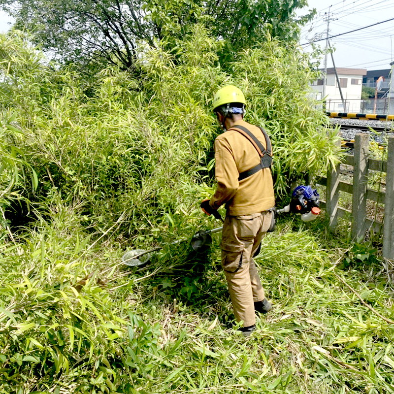 久喜市 鉄道沿い伐採工事 作業中