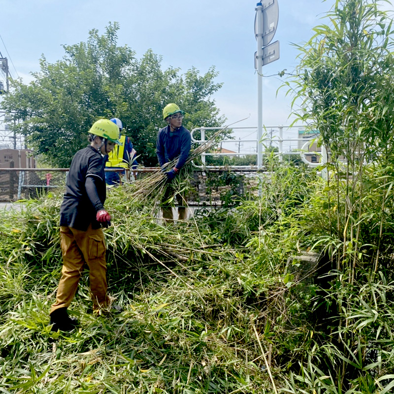 久喜市 鉄道沿い伐採工事 作業中