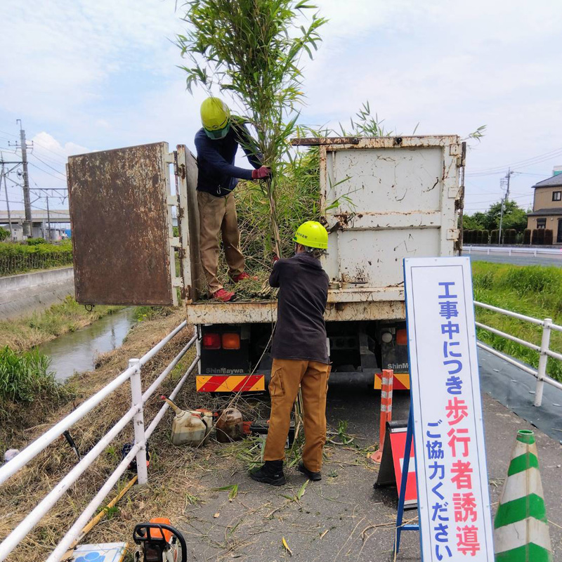 久喜市 鉄道沿い伐採工事 作業中