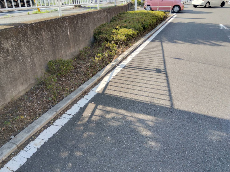 埼玉県狭山市内某スーパー 緑地整備工事 完了